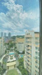 The Petals (D23), Condominium #453339881